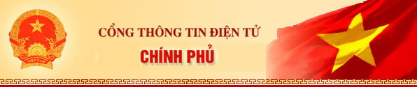 cong-ttdt-chinh-phu